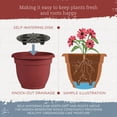 thumbnail image 4 of Bloem Ariana 10" Self-Watering Plastic Planter - Rolled Rim Indoor/Outdoor Garden Pot, Burnt Red, 4 of 6
