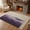 Purple Beige, variant on Living Room Area Rug 4'x 6', Purple Beige Ombre Washable Large Carpet with Tassels, Minimalist Ocean Waves Linen Farmhouse Low-Profile Carpet Mat for Bedroom, Kitchen, Home Decor