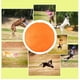 thumbnail image 4 of Volante para perros - Frisbee de goma duradero para perros que juegan al aire libre - Juguete divertido Naranja 18cm, 4 of 9