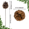 thumbnail image 2 of 10 Pcs Natural Christmas Pine Cones,Happon 8-10cm Christmas Pine Cones for Christmas Tree,Pine Cones Decorations for Craft Garland Xmas Tree Decorations Wreath Ornaments Home Party Holiday Decor, 2 of 6