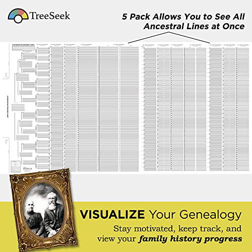 TreeSeek 15 Generation Pedigree Chart5 PackBlank Genealogy Forms for and 