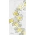 thumbnail image 2 of Koetsier, Albert 11x18 White Modern Wood Framed Museum Art Print Titled - Eucalyptus Sunshine 2, 2 of 4