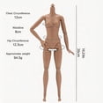 thumbnail image 2 of 1/6 Scale Female Action Figure Body, Robust 10.2" Nude Doll with 22 Articulated Joints, Resilient Supermodel Figurine Base for BJD Customization & Artist Sketching, 2 of 8