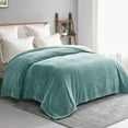 thumbnail image 2 of Exclusivo Mezcla Twin Size Jacquard Weave Wave Pattern Flannel Fleece Velvet Plush Bed Blanket as Bedspread/Coverlet/Bed Cover (90" x 66", Celadon), 2 of 7