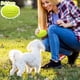 thumbnail image 4 of Great promotion! Pet Supplies Puppy Dog ​​chewable Teething Rubber Toy Ball Rugby Toy, 4 of 4