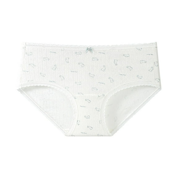 Qulqfy Women's Underwear Cotton No Show Lace White Graphic Low Rise Soft Cool Hipster Panties Panties for Women L