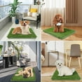 thumbnail image 5 of Dog Grass Pad with Tray,Reusable Training Pad with Replaceable Artificial Grass,Quick Absorbent Indoor Portable Dog Patio Potty,Washable Pee Pad For Puppy (Green Tray + 2 Grass Pads for Replacement), 5 of 9