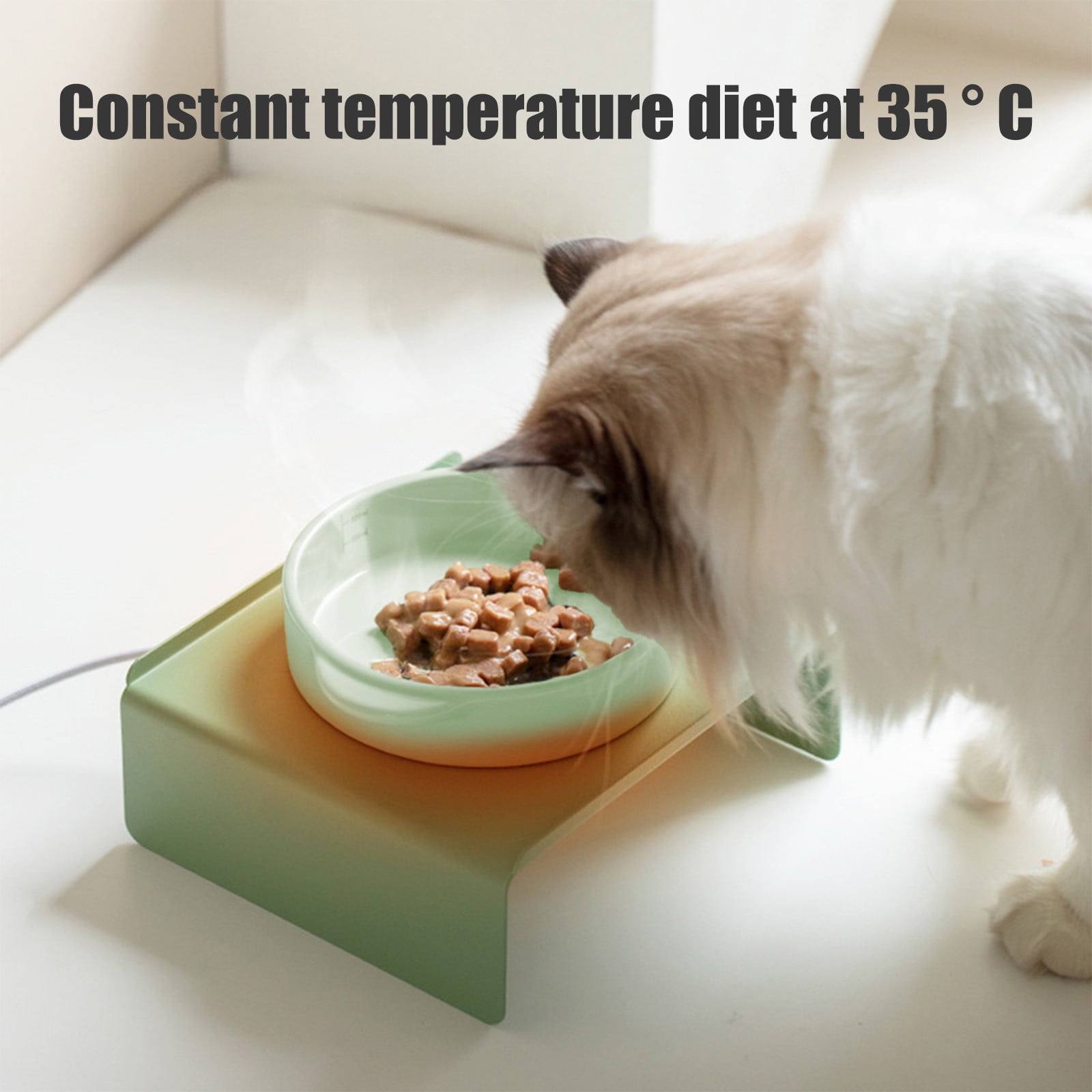 Heated Ceramic Water Bowl for Cats and Dogs, USB-Powered Constant Temperature Pet Bowl with Quiet Pump, Winter Warm Water Bowl Indoor Use