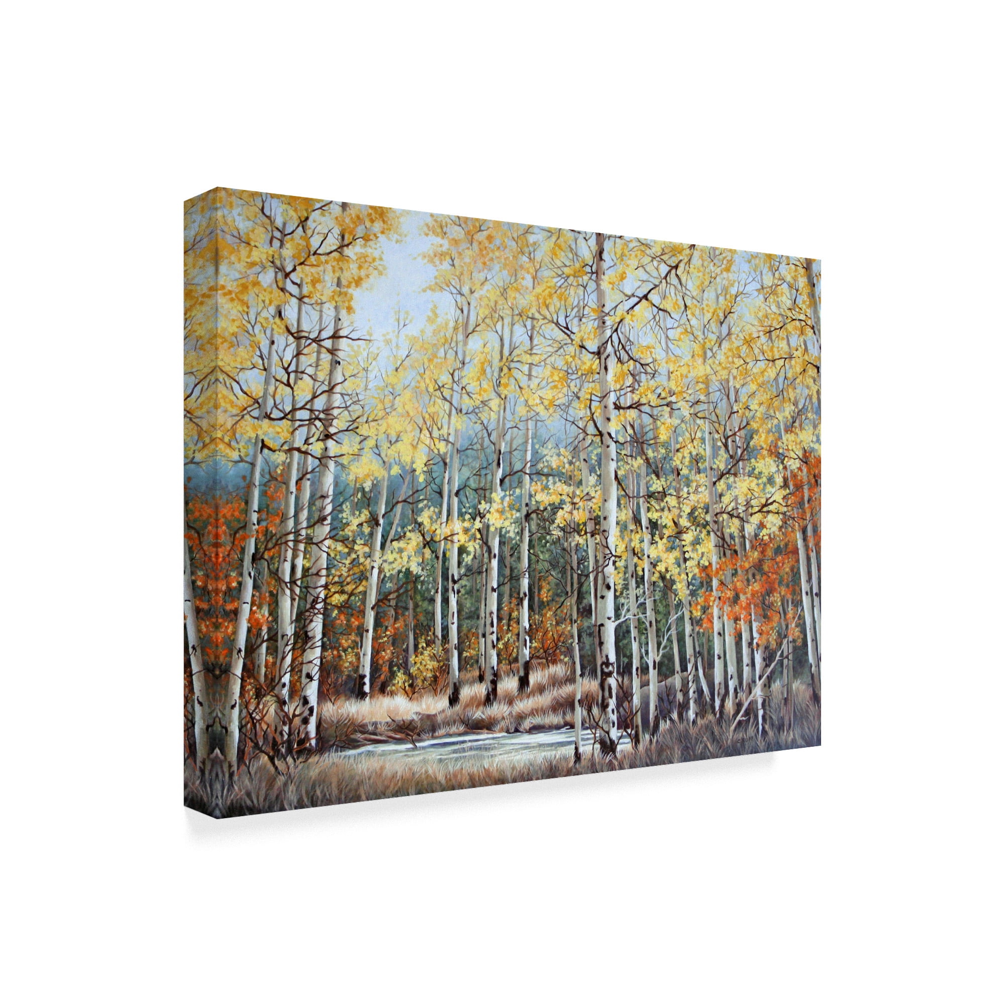 Trademark Fine Art 'New Aspen Grove' Canvas Art by Carol J Rupp