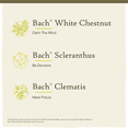 thumbnail image 3 of Bach Original Flower Remedies, Clarity of Mind Kit (Non-Alcohol Formula)&nbsp;, 3 of 6