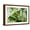 Brown Frame, variant on Art.com Rainforest Along Fortuna River Photographic Print by Paul Souders, 18" x 12"