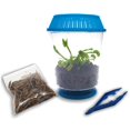 thumbnail image 4 of Kit de planta carnívora Venus Flytrap con terrario de 11 cm, 4 of 8
