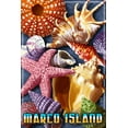 thumbnail image 1 of Marco Island, Shells (36x54 Giclee Gallery Art Print, Vivid Textured Wall Decor), 1 of 3