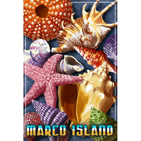 Marco Island, Shells (36x54 Giclee Gallery Art Print, Vivid Textured Wall Decor)