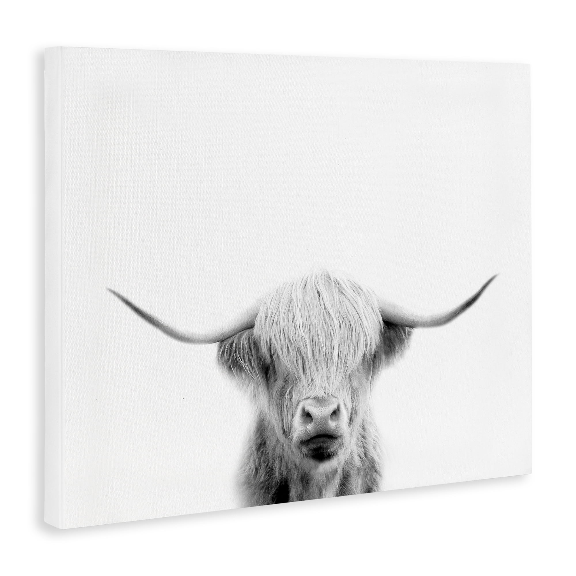 Stupell Industries Scottish Cow Portrait Canvas Wall Art, design by Leah Straatsma