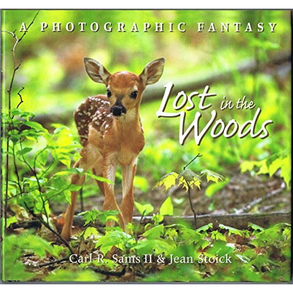 Pre-Owned Lost in the Woods (Hardcover) 0967174880 9780967174884