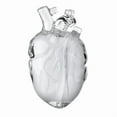 thumbnail image 4 of Liquid Silicone Heart Design Earphone Case For Airpods Pro/3/4 Earbuds Holder Sleeve AntiDrop Transparent Cover, 4 of 11