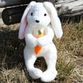 thumbnail image 2 of Easter Bunny Teddy Plush - 2 Sizes, Soft Material, Adorable Design, Versatile Decor & Cuddle Companion, 2 of 4