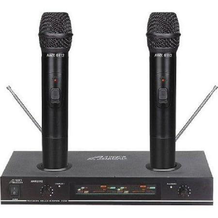 Handheld Rechargeable Wireless Professional Karaoke Microphone GREAT