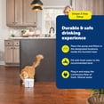 thumbnail image 6 of PetSafe Viva Pet Water Fountain for Small Pets, 64 oz, Whisper Quiet Pump, Dishwasher Safe, 6 of 9