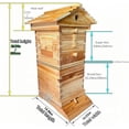 thumbnail image 5 of Generic Self-Flowing Beehive Starter Kit with Observation Window Spout, 5 of 6