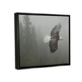 thumbnail image 4 of Stupell Industries Soaring Eagle in Nature Animals & Insects Photography Black Floater Framed Art Print Wall Art, 21 x 17, 4 of 10