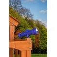 thumbnail image 4 of Creative Cedar Designs Playset Telescope- Purple, 4 of 12