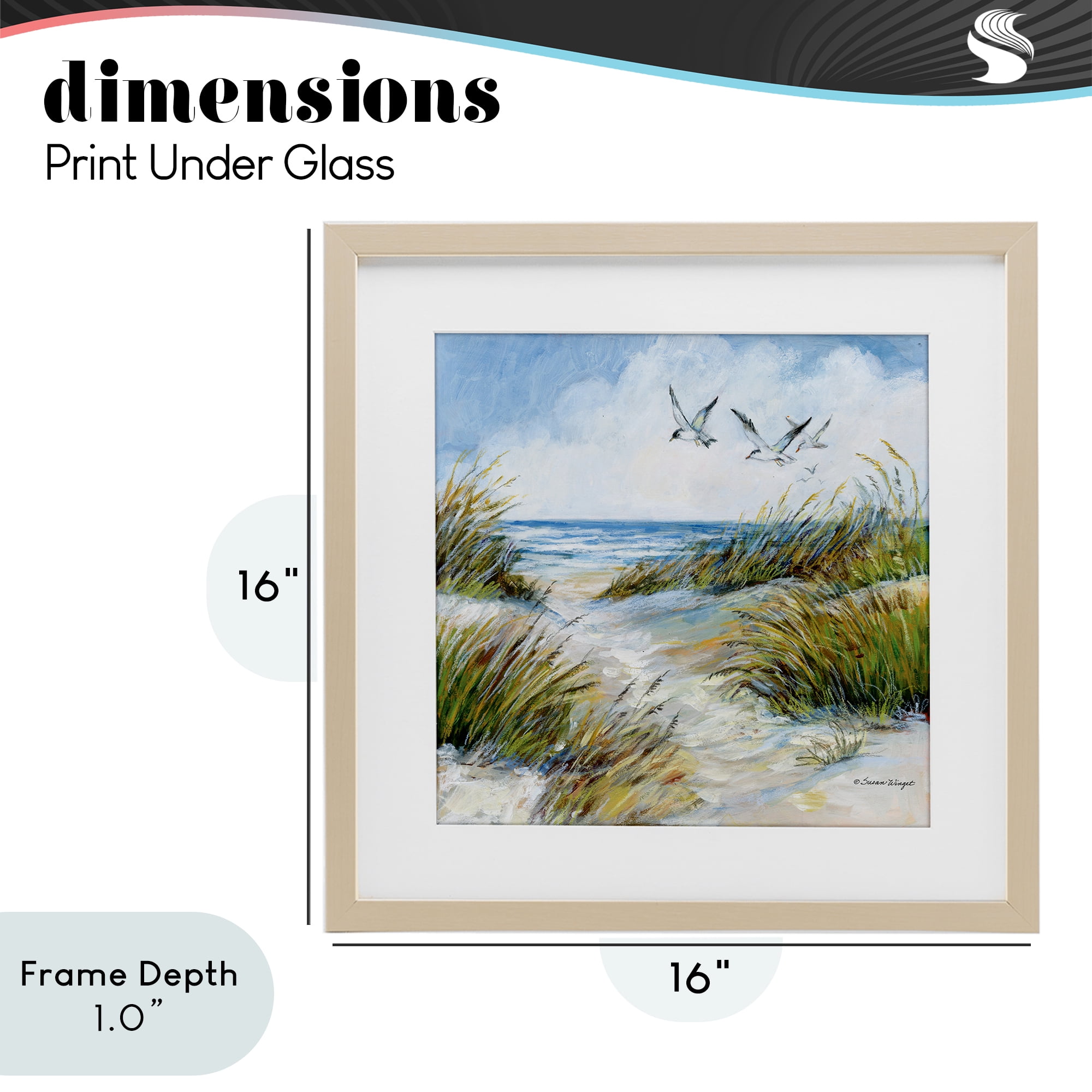 Stupell Industries Beach Path Seagulls Overhead Birch Framed Print Under Glass, design by Susan Winget