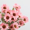 thumbnail image 5 of 4 Bundles Sunflowers Artificial Flowers Daisy Mums Fake Flowers Outdoor UV Resistant No Fade Fall Flowers Greenery Shrubs Indoor Outside Home Wedding Office DIY Garden Décor, 5 of 9