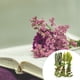 thumbnail image 3 of Conjunto de plantas secas Yuarrent Calcomanía hoja real decoración hogar tipo 10 hojas verdes, 3 of 6