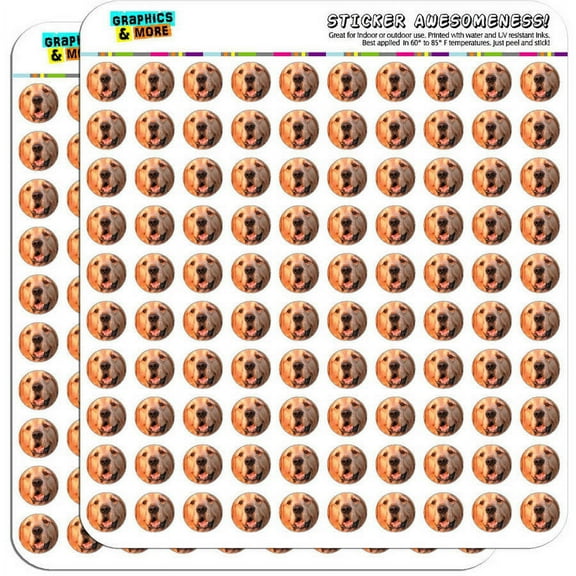 Golden Retriever Dog 200 1/2" (0.5") Planner Calendar Scrapbooking Crafting Stickers