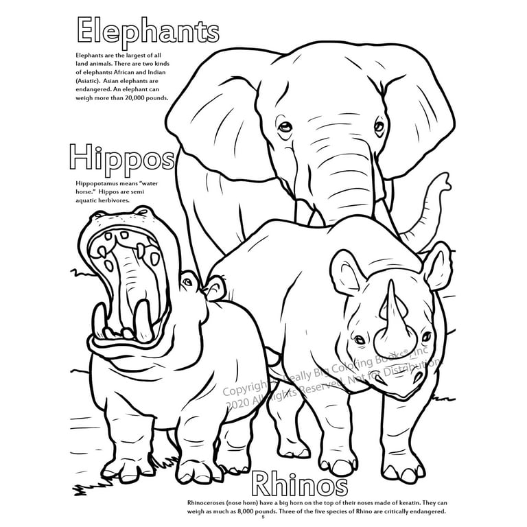 Really Big Coloring Books A Day at The Zoo Coloring Book 8.5 x 11 with at The Zoo Song