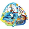 Baby Einstein - Discovering Water Play Gym