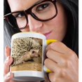 thumbnail image 2 of 3drose, African Hedgehog Wildlife, Native to Africa - Na02 Dno0400 - David Northcott, 15oz Two-tone Yellow Mug, 2 of 6