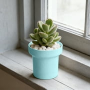 CaiYueKe Succulent Planter Plastic Flower Pot Indoor Modern Decorative Plant Pot for Succulents Cacti Herbs Small Plants Desktop Home Garden Decor Mini Planter Pots for Indoor Plants