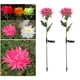 thumbnail image 5 of Luces de sendero Solar libre brillante LED Solar Path luces 8- de larga duración IP66 impermeables libre Rosa, 5 of 9