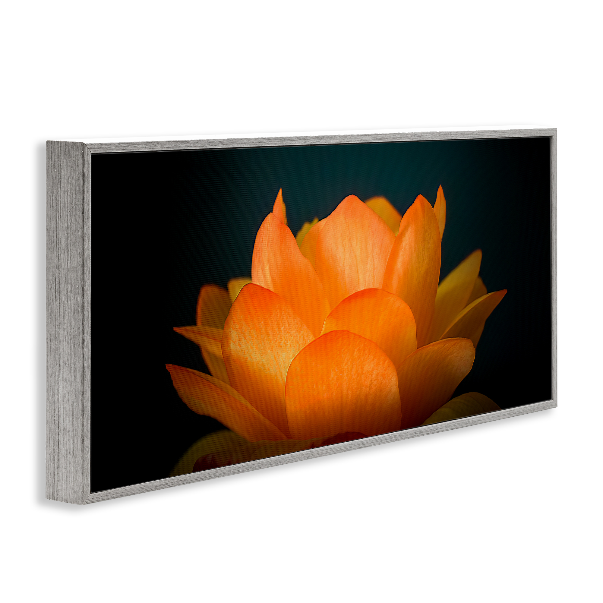 Glowing Orange Lotus Gray Framed Giclee Art, design by Phillip Flowers