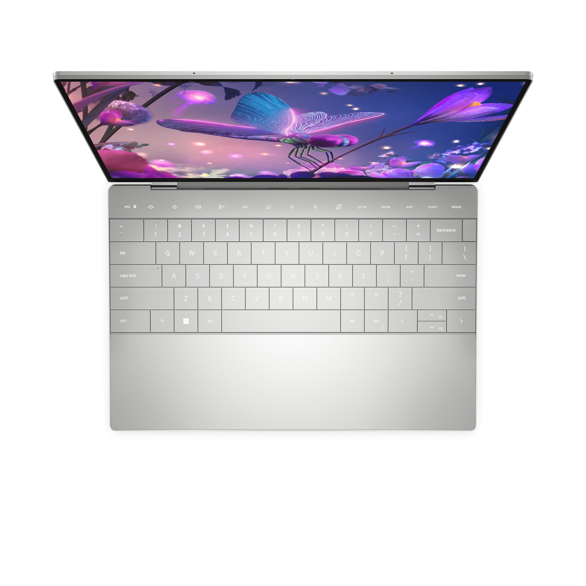 Dell XPS 13.3