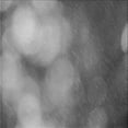 thumbnail image 1 of Ahgly Company Machine Washable Indoor Square Transitional Grey Gray Area Rugs, 8' Square, 1 of 7