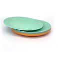 thumbnail image 4 of Yalin Wheat Straw Lightweight PP Dinner/Lunch Plate,9.875 Inch Round Unbreakable Salad Plates Picnic Plates for Holiday Party,Break-resistant,Dishwasher and Microwave Safe,BPA Free,Multicolor (Pack 8), 4 of 6