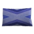 thumbnail image 1 of Ahgly Company Outdoor Rectangular Contemporary Lumbar Throw Pillow, 13 inch by 19 inch, 1 of 5