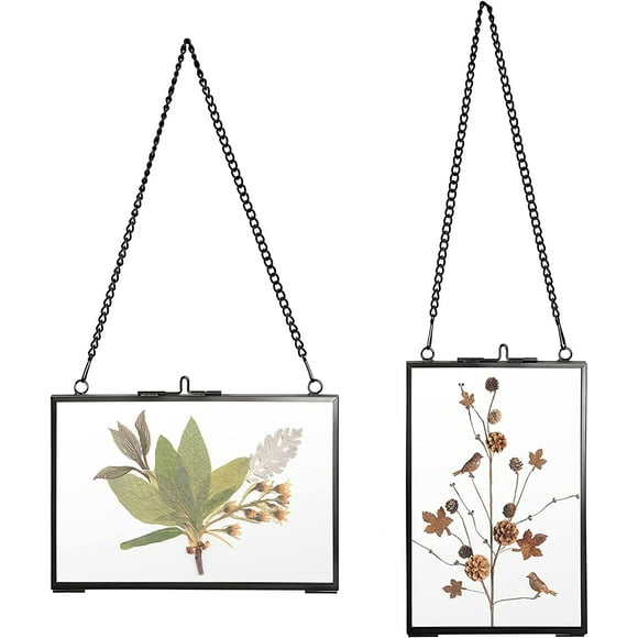 shiyou-Set of 2 Hanging Photo Frame 4 * 6 inch, Double Glass Gallery Wall Picture Hanging Floating Frame, Black decorative Artwork Hanging Wall Glass Frame for Pressed Flowers Dried Leaf Plants