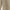 Beige, variant on Tungbrin Plus Size Shorts for Women Flowy Solid Summer Beach Casual Shorts with Pockets Elastic Waist Loose Wide Leg Shorts