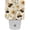 Multi-colored 3, variant on PhooArto Bees Daisy Flowers Pattern Plug in LED Night Light Auto Sensor Dusk to Dawn Decorative Night for Bedroom, Bathroom, Kitchen, Hallway, Stairs, Baby's Room, Energy Saving