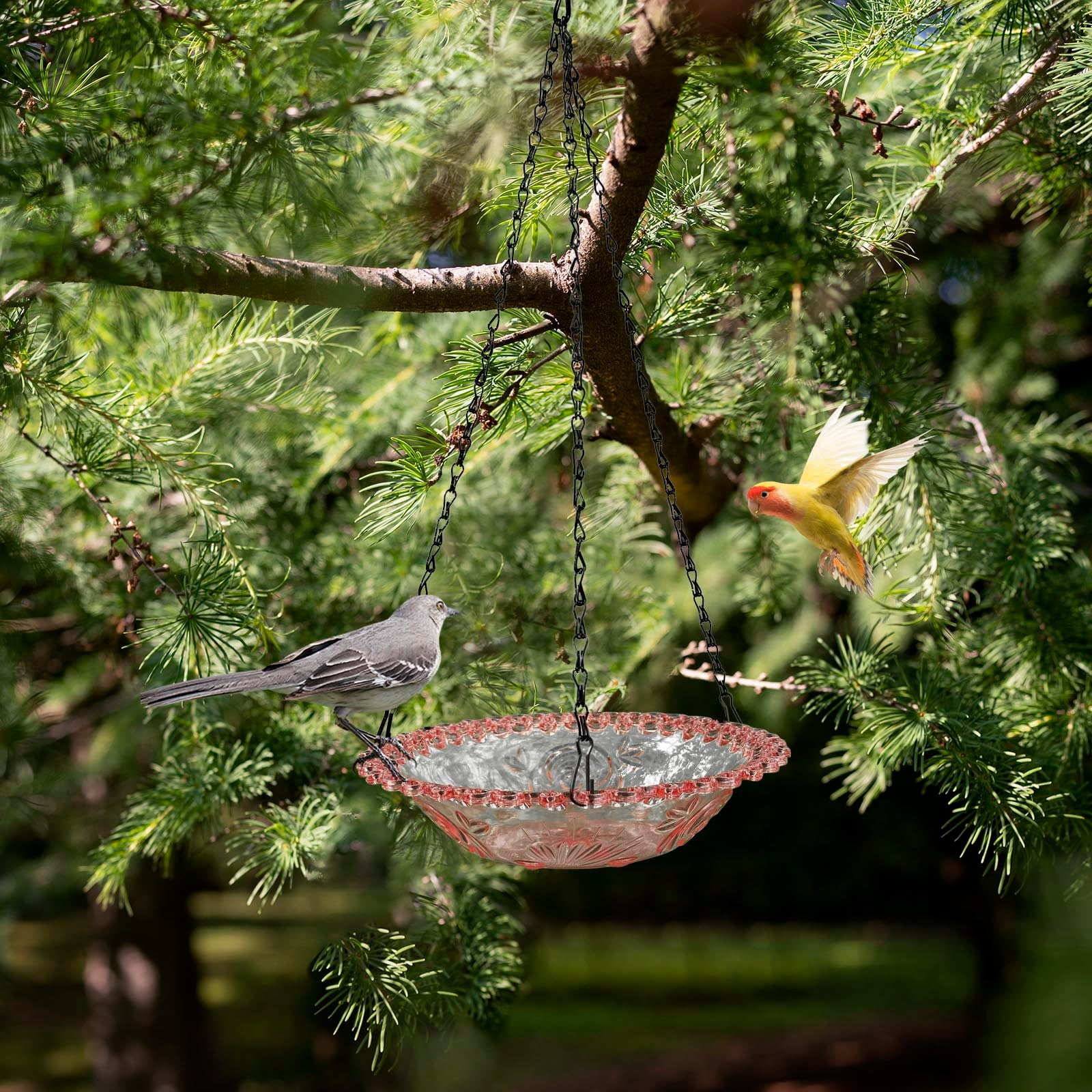 JilgTeok 1 Packs Bird Feeder Bird Water Bowl Bird Baths for Feeding Balcony Garden Yard Decor Outdoor Hanging Feeder