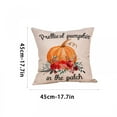 thumbnail image 5 of Clearance! SDJMa 2 Pack Halloween Pillow Cover 18x18, Pumpkin Witch Throw Pillow Covers Halloween Decorations Cushion Case for Sofa Bed Outdoor Holiday Home Decor, 5 of 5