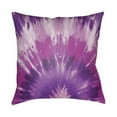 thumbnail image 3 of Surya Textures 18" x 18" Medium Square Throw Pillow TX053-1818, 3 of 5