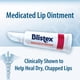 thumbnail image 4 of Ungüento para Labios Blistex Medicado 24 unidades, 4 of 8