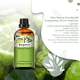 thumbnail image 2 of Bergamot Essential Oil 30ml/1.01fl.oz, PHATOIL Premium Bergamot Oils for Diffuser, Soap Making, Candle Making, Long Lasting Scents, 2 of 6