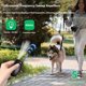 thumbnail image 2 of Ultrasonic bark stop device for dogs, intelligent dog drive device, pet training device, anti barking automatic dog training and bark stop device, 2 of 5